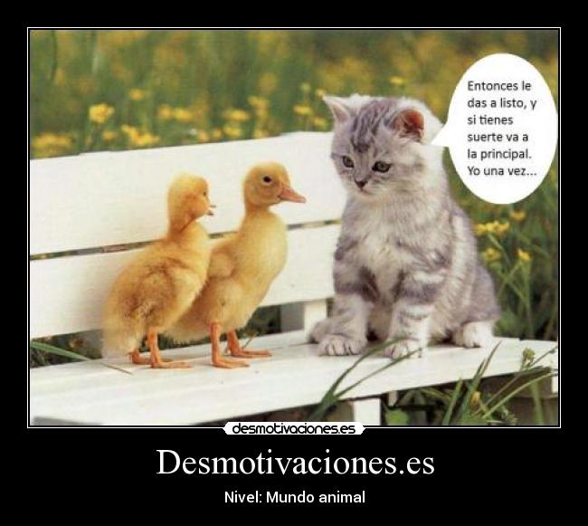 Desmotivaciones.es - Nivel: Mundo animal