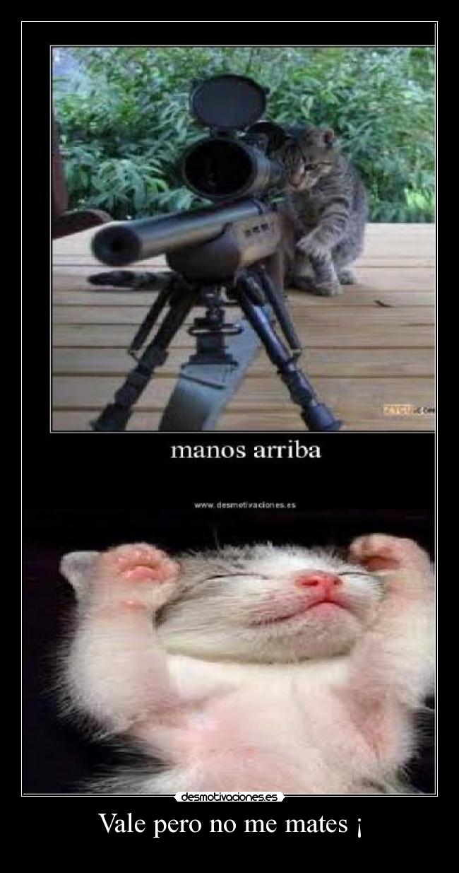 Vale pero no me mates ¡ - 