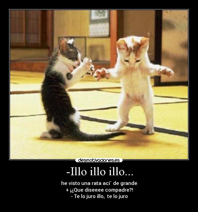 -Illo illo illo... -