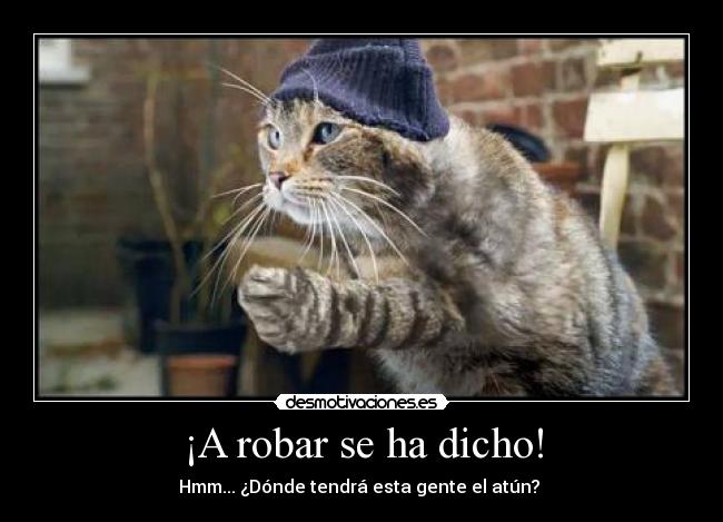 ¡A robar se ha dicho! - 
