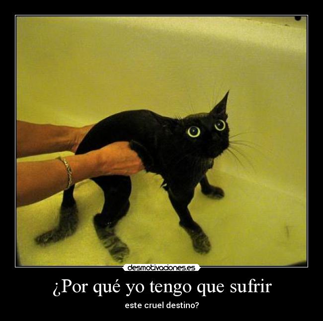 ¿Por qué yo tengo que sufrir - este cruel destino?