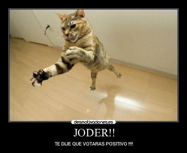 carteles positivo gato desmotivaciones