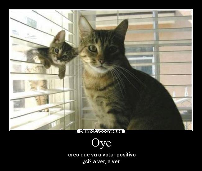 Oye - 