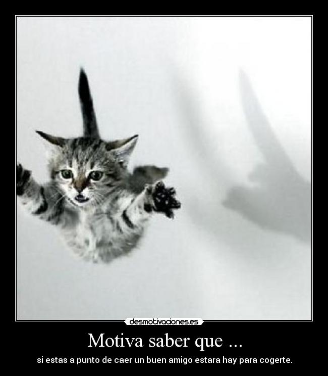 Motiva saber que ... - si estas a punto de caer un buen amigo estara hay para cogerte.