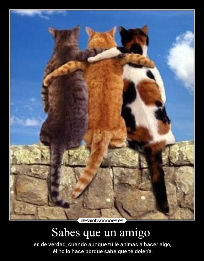 Sabes que un amigo - es de verdad, cuando aunque tú le animas a hacer algo,
él no lo hace porque sabe que te dolería.