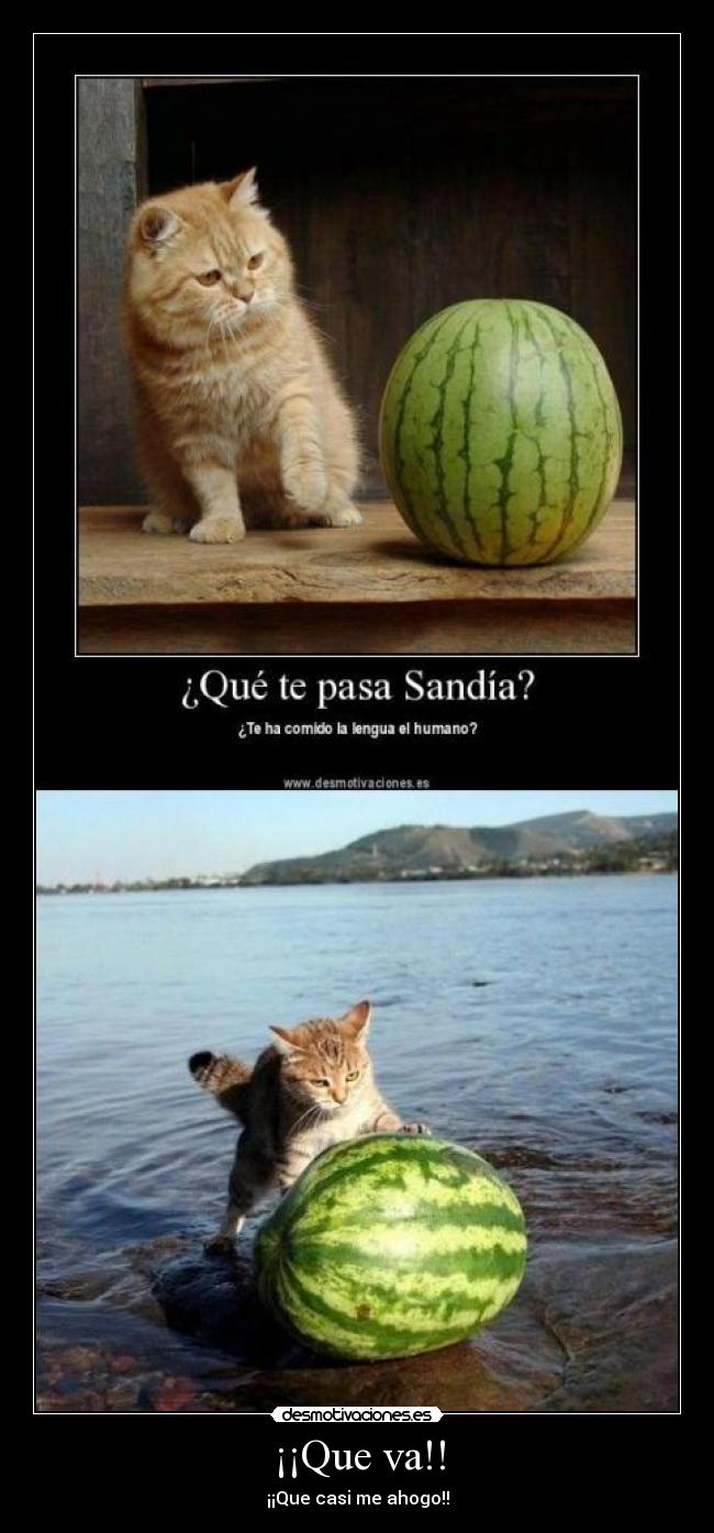 ¡¡Que va!! - ¡¡Que casi me ahogo!!