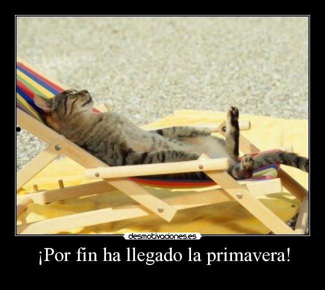 ¡Por fin ha llegado la primavera! - 