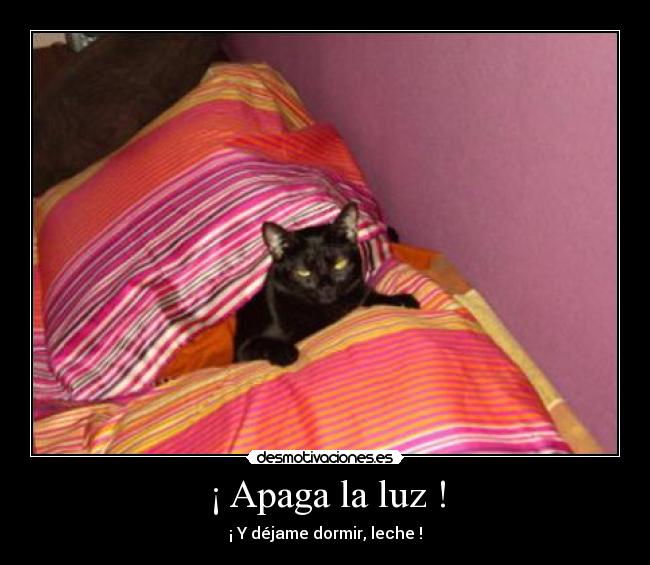 ¡ Apaga la luz ! - ¡ Y déjame dormir, leche !