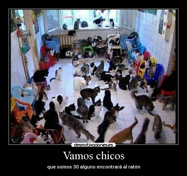 Vamos chicos - que somos 30 alguno encontrará al ratón