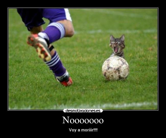 Nooooooo - Voy a moriiir!!!!