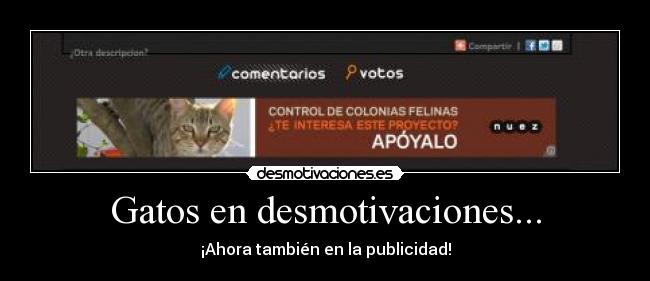 Gatos en desmotivaciones... - ¡Ahora también en la publicidad!