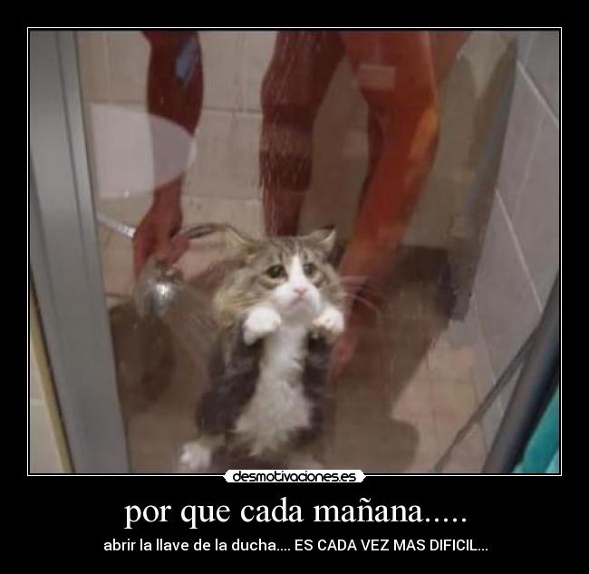 por que cada mañana..... -