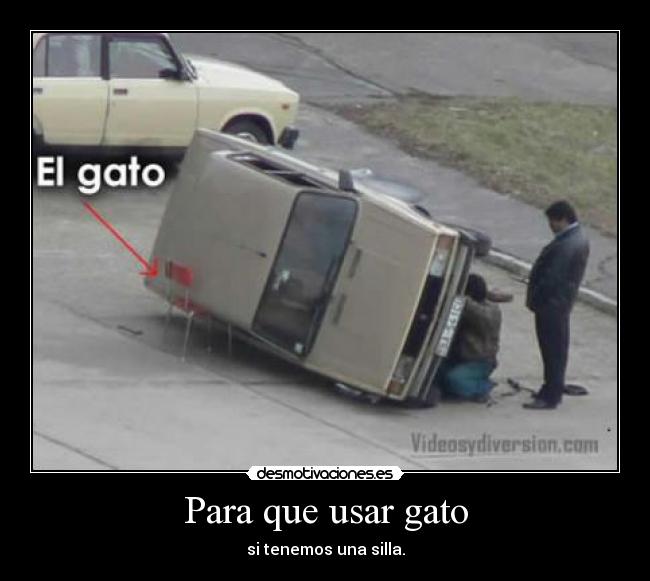Para que usar gato - si tenemos una silla.
