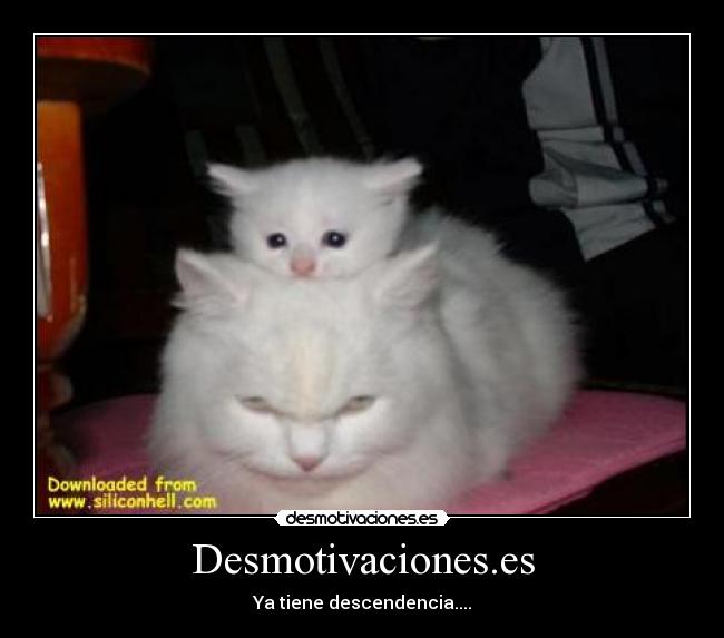 Desmotivaciones.es -