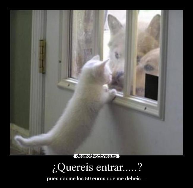 ¿Quereis entrar.....? - pues dadme los 50 euros que me debeis.....