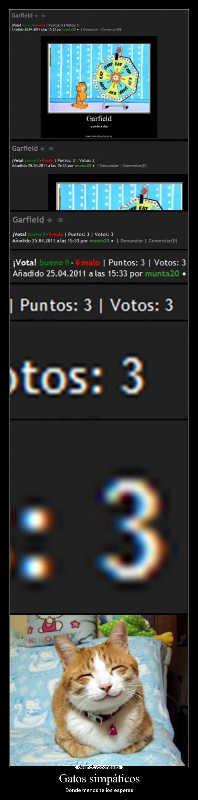 Gatos simpáticos -