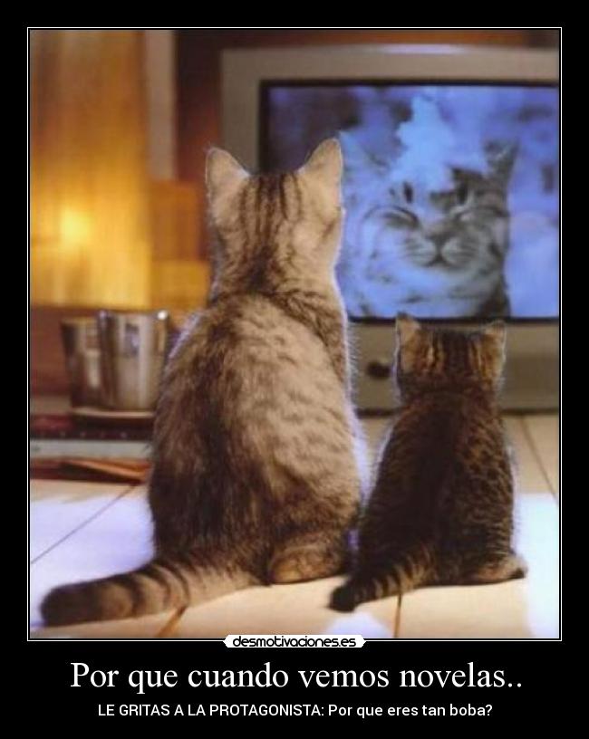 Por que cuando vemos novelas.. - LE GRITAS A LA PROTAGONISTA: Por que eres tan boba?