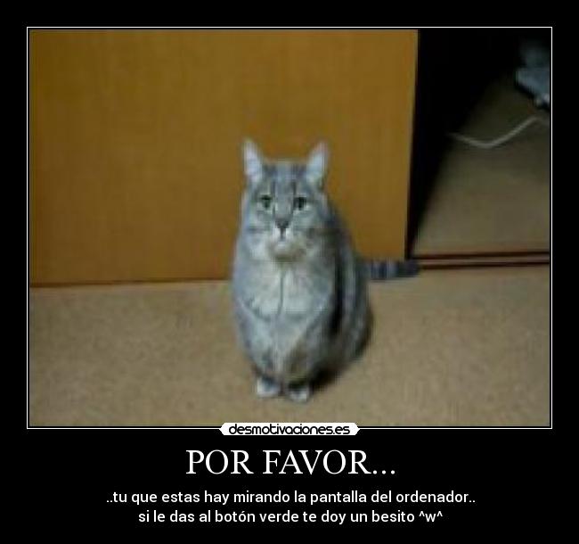 carteles gato desmotivaciones