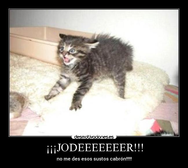 ¡¡¡JODEEEEEEER!!! - 