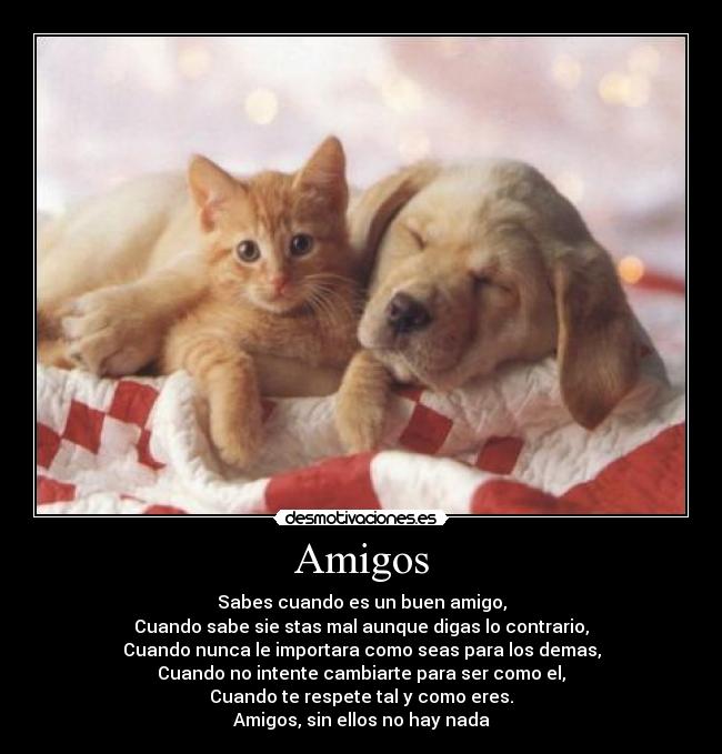 Amigos - Sabes cuando es un buen amigo,
Cuando sabe sie stas mal aunque digas lo contrario,
Cuando nunca le importara como seas para los demas,
Cuando no intente cambiarte para ser como el,
Cuando te respete tal y como eres.
Amigos, sin ellos no hay nada