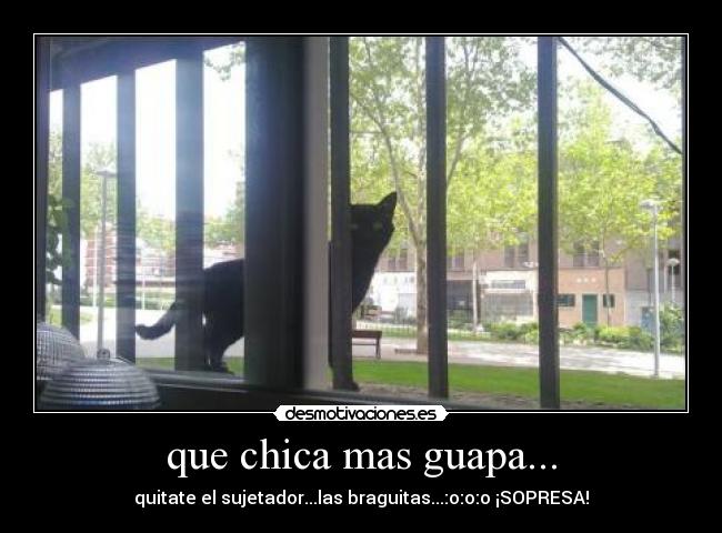 que chica mas guapa... - quitate el sujetador...las braguitas...:o:o:o ¡SOPRESA!