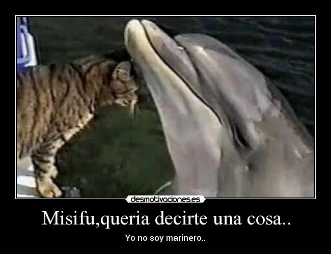 Misifu,queria decirte una cosa.. -