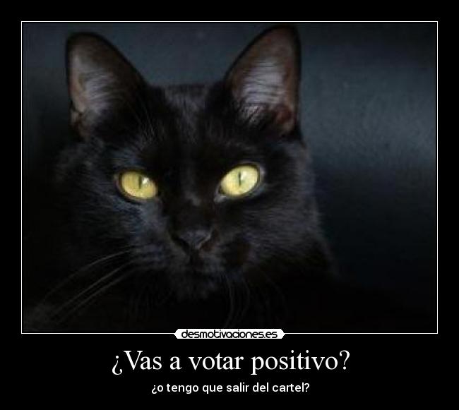 ¿Vas a votar positivo? - 