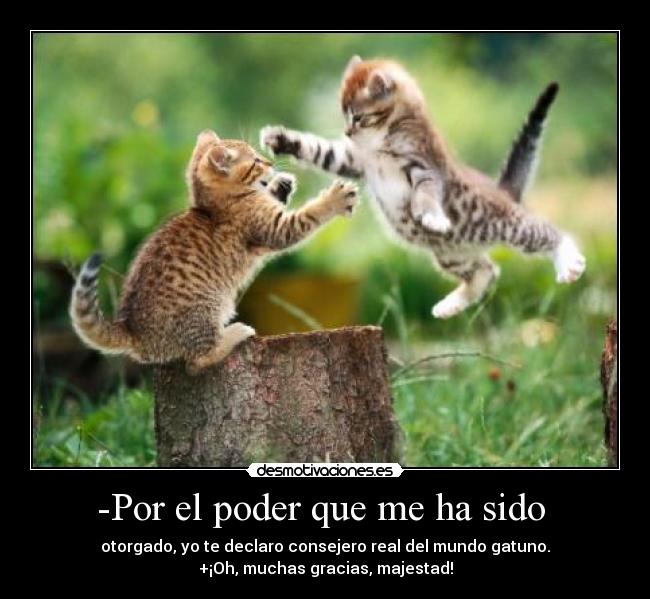 -Por el poder que me ha sido -