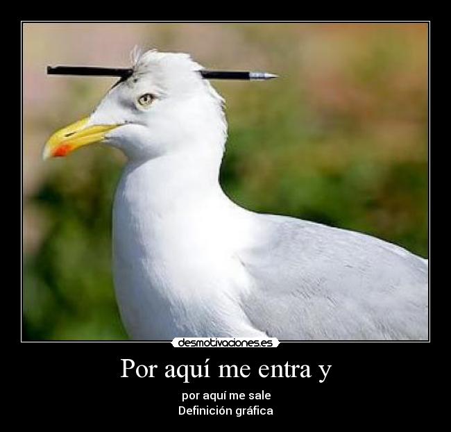 Por aquí me entra y - por aquí me sale
Definición gráfica