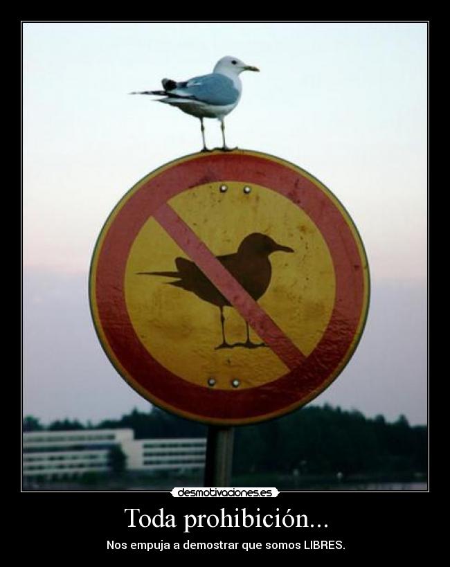 carteles toda prohibicion nos empuja demostrar somos libres desmotivaciones