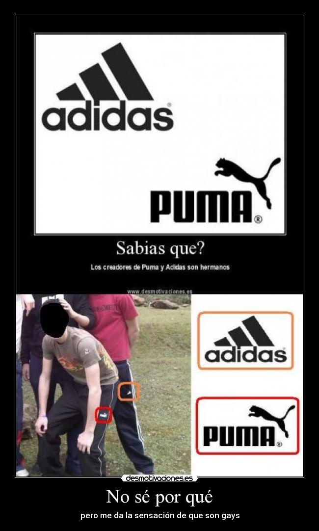 carteles puma adidas gays hermanos desmotivaciones