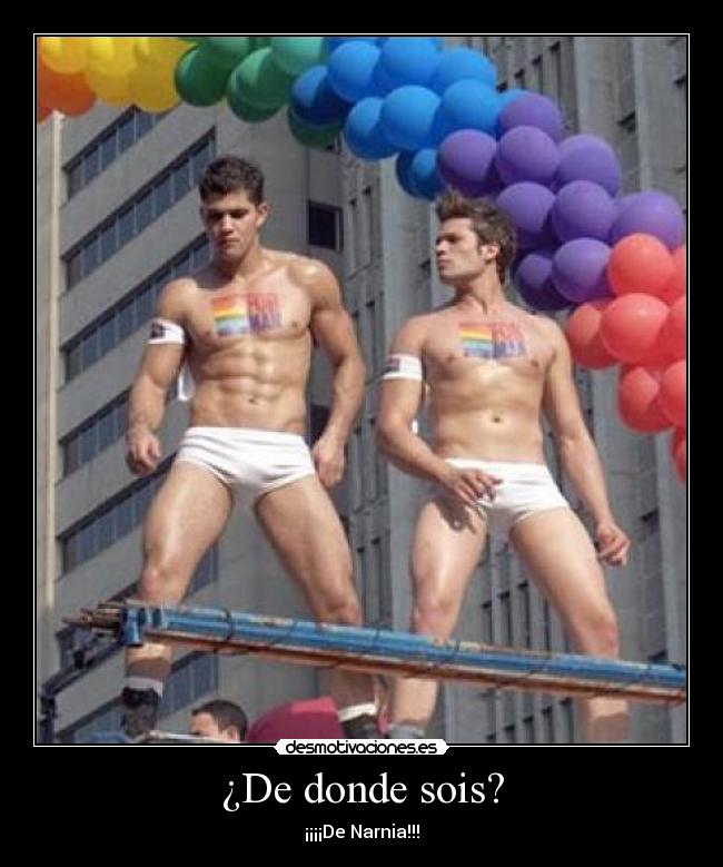 ¿De donde sois? - ¡¡¡¡De Narnia!!!