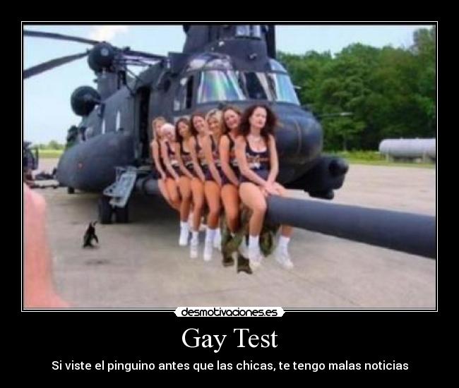Gay Test - Si viste el pinguino antes que las chicas, te tengo malas noticias