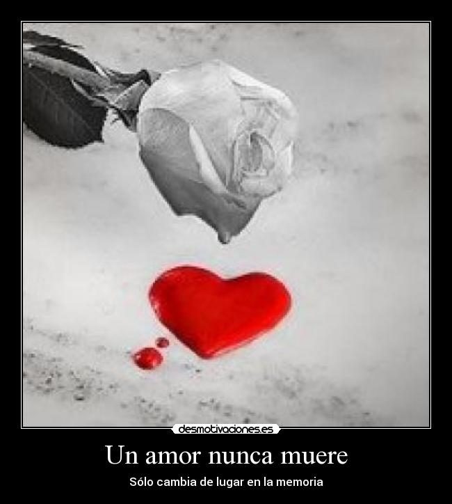 Un amor nunca muere - 