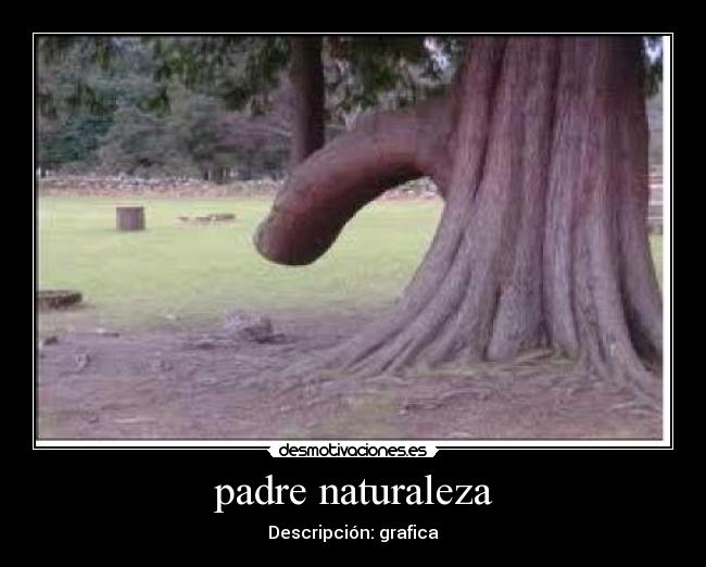 padre naturaleza - 