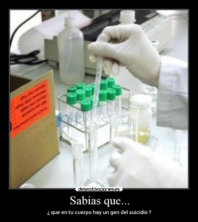 Sabias que... - ¿ que en tu cuerpo hay un gen del suicidio ?
