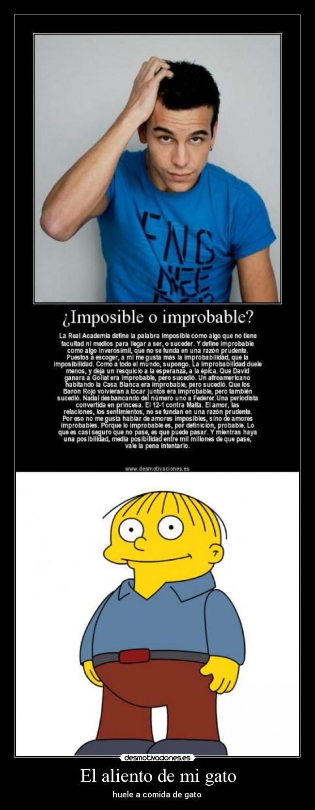 El aliento de mi gato - 