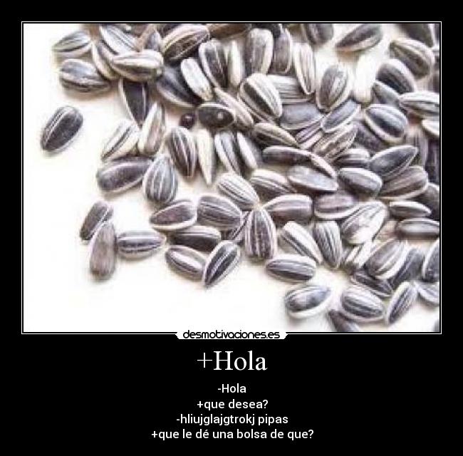 +Hola - 