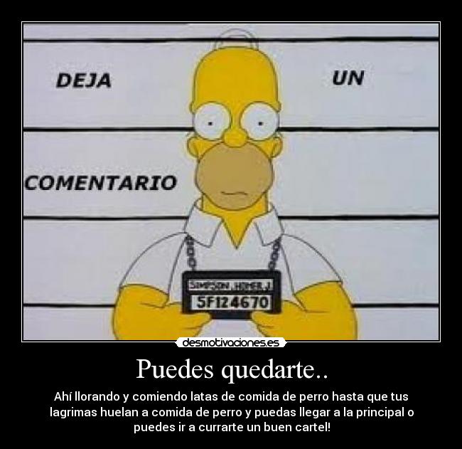 Puedes quedarte.. - Ahí llorando y comiendo latas de comida de perro hasta que tus
lagrimas huelan a comida de perro y puedas llegar a la principal o
puedes ir a currarte un buen cartel!