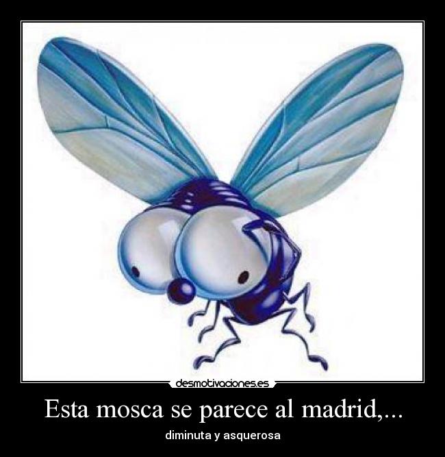 Esta mosca se parece al madrid,... - 