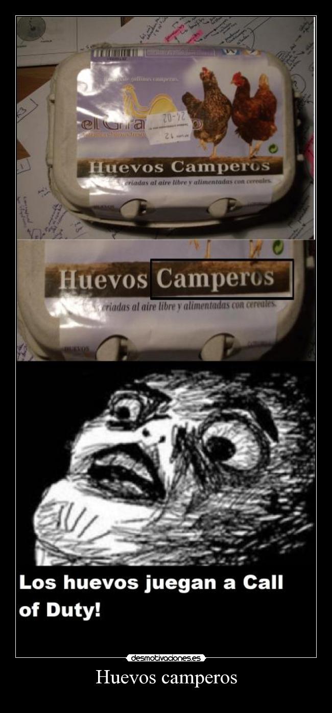 Huevos camperos - 