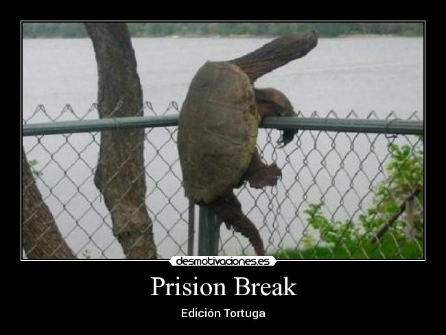 Prision Break -