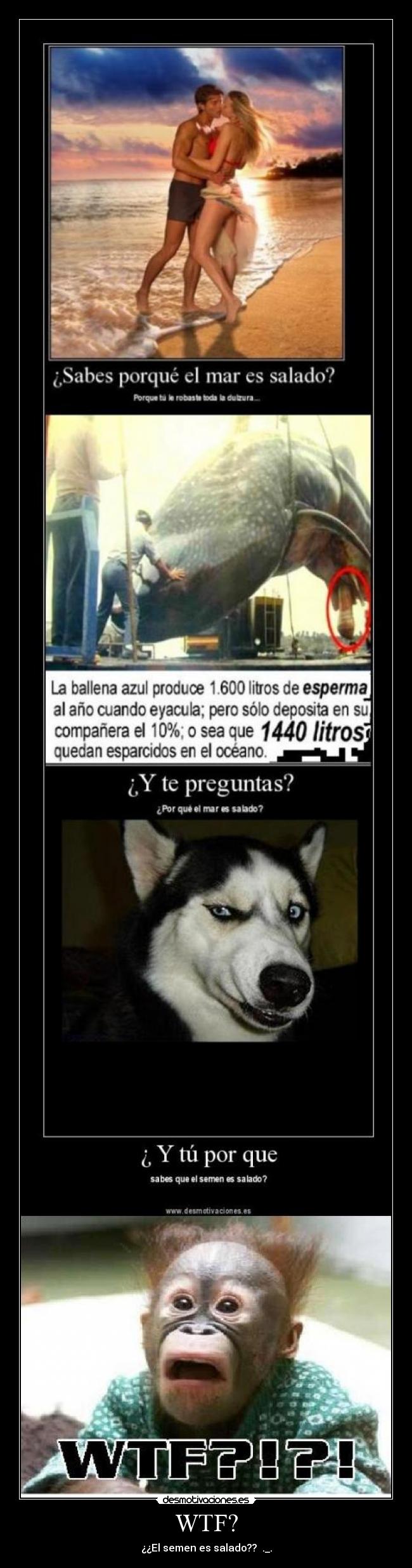 carteles semen ballena wtf luisillo08 desmotivaciones