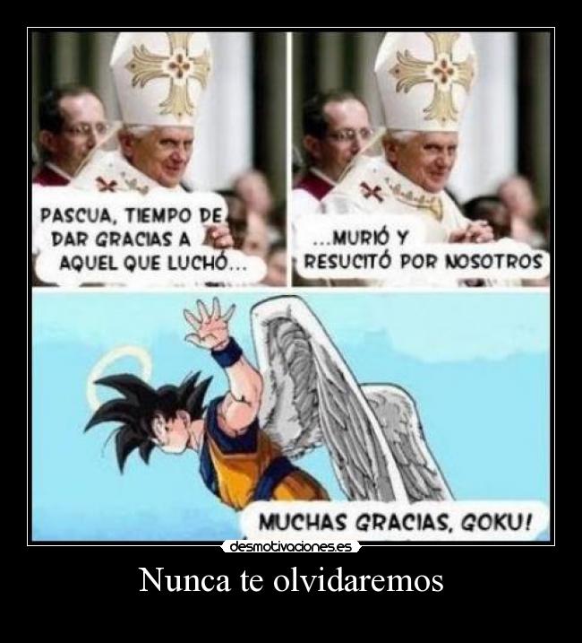 Nunca te olvidaremos - 