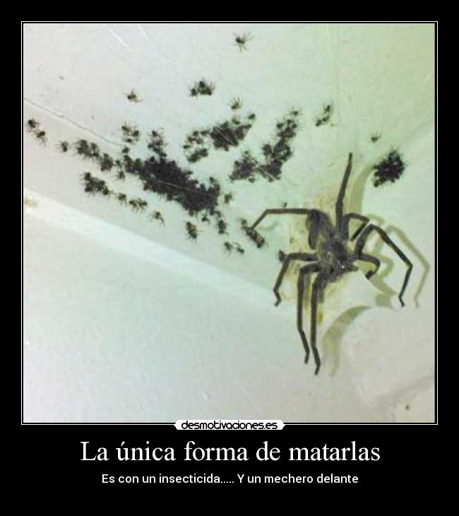 La única forma de matarlas -