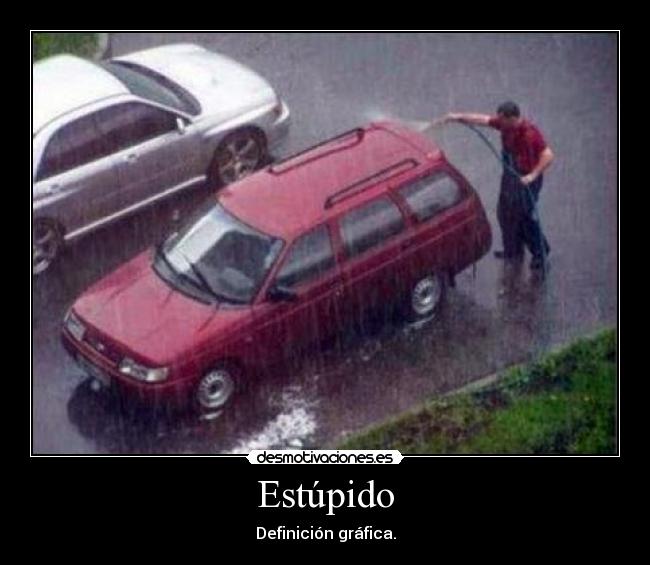 Estúpido -