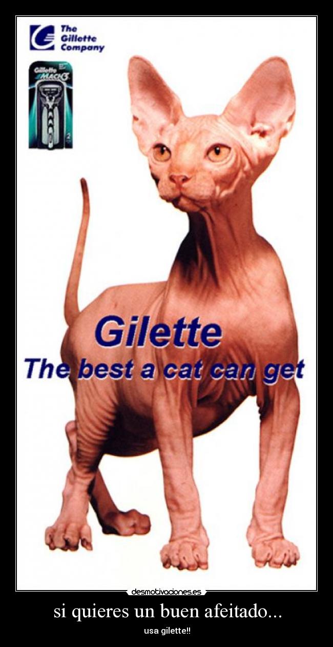 si quieres un buen afeitado... -