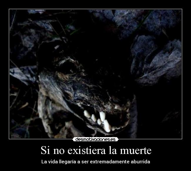 carteles muerte muerte vida existir aburrir desmotivaciones