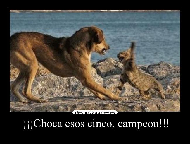 ¡¡¡Choca esos cinco, campeon!!! - 