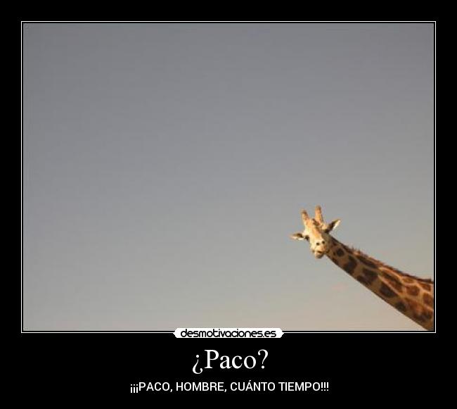 ¿Paco? - ¡¡¡PACO, HOMBRE, CUÁNTO TIEMPO!!!